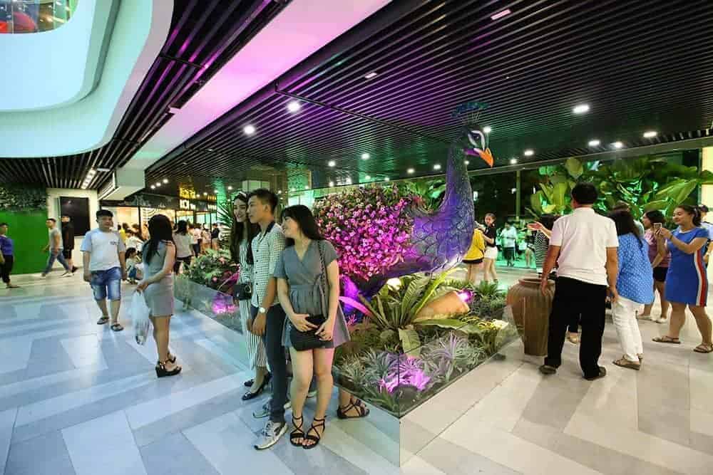 Các Bạn Trẻ Tranh Thủ Check In