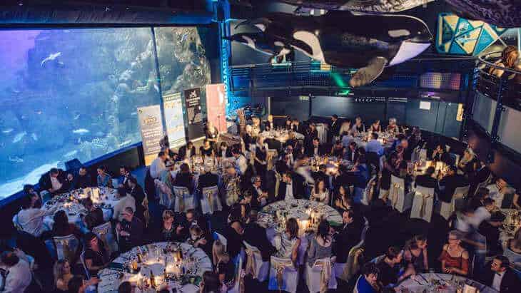 Lưu Ý Tổ Chức Gala Dinner Mà Doanh Nghiệp Cần Biết Khi Tổ Chức