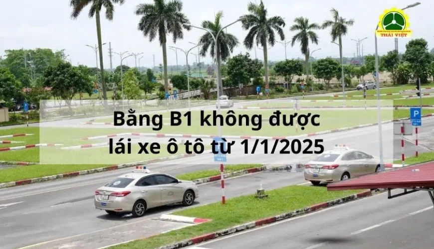 Từ ngày 1/1/2025 bằng lái xe B1 thi mới sẽ không được lái xe ô tô